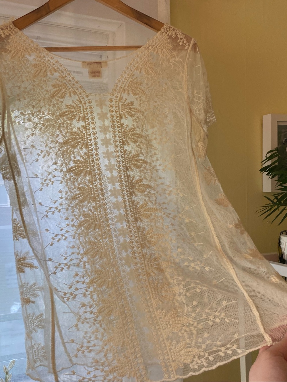 Sundance | Sheer Lace Top